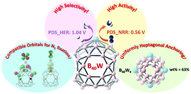 Graphical abstract: Anchored atomic tungsten on a B40 cage: a highly active and selective single-atom catalyst for nitrogen reduction