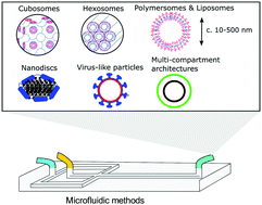 Graphical abstract: Microfluidic technologies for the synthesis and manipulation of biomimetic membranous nano-assemblies