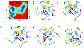Graphical abstract: Molecular mechanism related to the binding of fluorophores to Mango-II revealed by multiple-replica molecular dynamics simulations