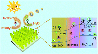 Graphical abstract: Interface engineering of a hierarchical ZnxCd1−xS architecture with favorable kinetics for high-performance solar water splitting