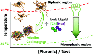Graphical abstract: Using coarse-grained molecular dynamics to understand the effect of ionic liquids on the aggregation of Pluronic copolymer solutions