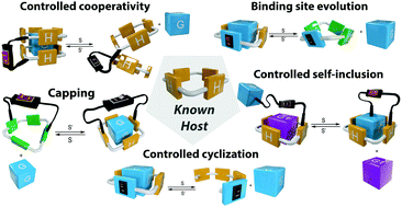 Graphical abstract: Controlled binding of organic guests by stimuli-responsive macrocycles