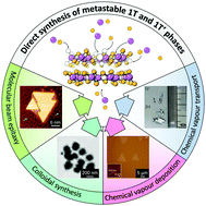 Graphical abstract: Direct synthesis of metastable phases of 2D transition metal dichalcogenides