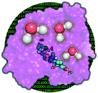 Graphical abstract: Water molecules at protein–drug interfaces: computational prediction and analysis methods