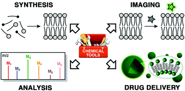 Graphical abstract: Lipids: chemical tools for their synthesis, modification, and analysis