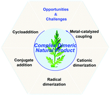 Graphical abstract: Recent advances in total syntheses of complex dimeric natural products