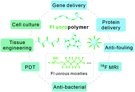 Graphical abstract: Fluoropolymers in biomedical applications: state-of-the-art and future perspectives