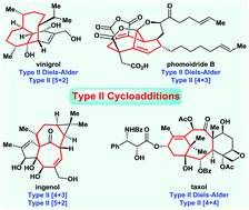 Graphical abstract: Synthetic applications of type II intramolecular cycloadditions