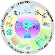 Graphical abstract: Single-atom catalysts boost signal amplification for biosensing