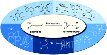 Graphical abstract: Brønsted acid-mediated reactions of ynamides