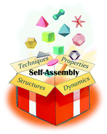 Graphical abstract: Self-assembly of anisotropic nanoparticles into functional superstructures