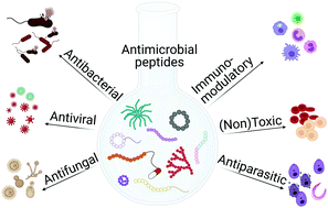 Graphical abstract: The multifaceted nature of antimicrobial peptides: current synthetic chemistry approaches and future directions