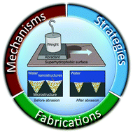 Graphical abstract: Robust superhydrophobicity: mechanisms and strategies