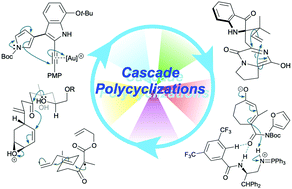 Graphical abstract: Advances in polycyclization cascades in natural product synthesis
