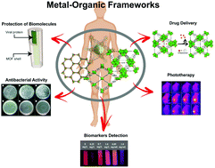 Graphical abstract: Metal–organic frameworks: a future toolbox for biomedicine?