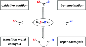 Graphical abstract: Activation of the Si–B interelement bond related to catalysis