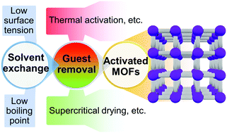 Graphical abstract: A historical overview of the activation and porosity of metal–organic frameworks