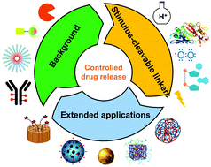 Graphical abstract: Stimulus-cleavable chemistry in the field of controlled drug delivery