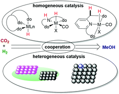 Graphical abstract: Homogeneous and heterogeneous catalysts for hydrogenation of CO2 to methanol under mild conditions