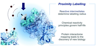 Graphical abstract: Reactive intermediates for interactome mapping