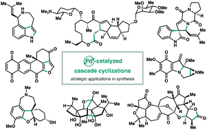 Graphical abstract: Palladium-catalyzed cascade cyclizations involving C–C and C–X bond formation: strategic applications in natural product synthesis