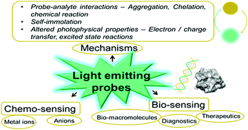 Graphical abstract: Light emitting probes – approaches for interdisciplinary applications