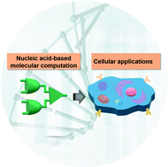 Graphical abstract: Nucleic acid-based molecular computation heads towards cellular applications