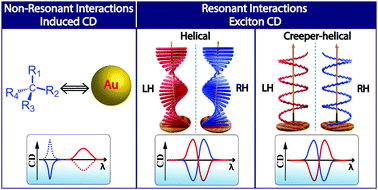 Graphical abstract: Emergent chiroptical properties in supramolecular and plasmonic assemblies