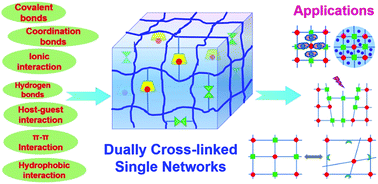 Graphical abstract: Dually cross-linked single networks: structures and applications