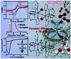 Graphical abstract: A dinuclear iron complex as an efficient electrocatalyst for homogeneous water oxidation reaction