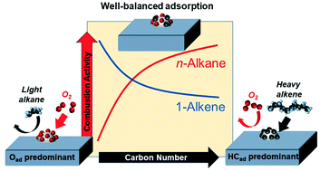 Graphical abstract: Effects of carbon number and bond saturation on hydrocarbon combustion over a diesel oxidation catalyst