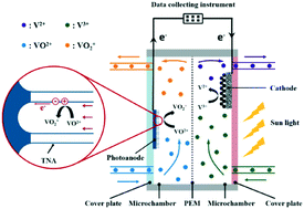 Graphical abstract: One-dimensional TiO2 nanotube array photoanode for a microfluidic all-vanadium photoelectrochemical cell for solar energy storage
