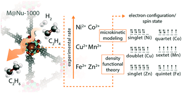 Graphical abstract: Influence of spin state and electron configuration on the active site and mechanism for catalytic hydrogenation on metal cation catalysts supported on NU-1000: insights from experiments and microkinetic modeling