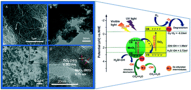 Graphical abstract: Hierarchical Z-scheme 1D/2D architecture with TiO2 nanowires decorated by MnO2 nanosheets for efficient adsorption and full spectrum photocatalytic degradation of organic pollutants