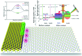 Graphical abstract: Impact of edge structures on interfacial interactions and efficient visible-light photocatalytic activity of metal–semiconductor hybrid 2D materials