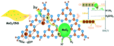 Graphical abstract: In situ synthesis of ultrafine metallic MoO2/carbon nitride nanosheets for efficient photocatalytic hydrogen generation: a prominent cocatalytic effect