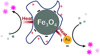 Graphical abstract: Localized catalysis driven by the induction heating of magnetic nanoparticles