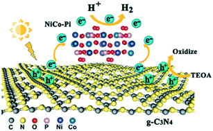 Graphical abstract: Photocatalytic hydrogen evolution over nickel cobalt bimetallic phosphate anchored graphitic carbon nitrides by regulation of the d-band electronic structure