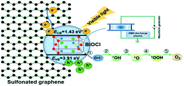 Graphical abstract: Plasma modified BiOCl/sulfonated graphene microspheres as efficient photo-compensated electrocatalysts for the oxygen evolution reaction