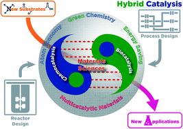 Graphical abstract: The various levels of integration of chemo- and bio-catalysis towards hybrid catalysis