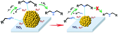 Graphical abstract: Alcohol amination over titania-supported ruthenium nanoparticles