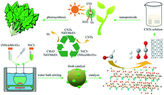Graphical abstract: Steam reforming of formaldehyde for generating hydrogen and coproducing carbon nanotubes for enhanced photosynthesis