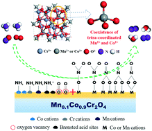 Graphical abstract: Understanding the co-effects of manganese and cobalt on the enhanced SCR performance for MnxCo1−xCr2O4 spinel-type catalysts