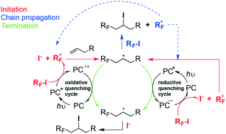 Graphical abstract: The role of photocatalysts in radical chains in homolytic aromatic substitution, radical addition to olefins, and nucleophilic radical substitution mechanisms