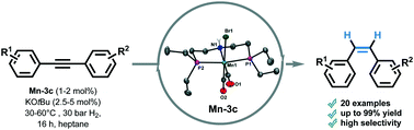 Graphical abstract: Chemoselective semihydrogenation of alkynes catalyzed by manganese(i)-PNP pincer complexes