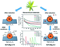 Graphical abstract: Hierarchical Fe-modified MgAl2O4 as a Ni-catalyst support for methane dry reforming