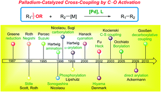 Graphical abstract: Palladium-catalyzed cross-couplings by C–O bond activation
