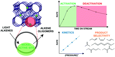 Graphical abstract: Mechanistic insights into alkene chain growth reactions catalyzed by nickel active sites on ordered microporous and mesoporous supports