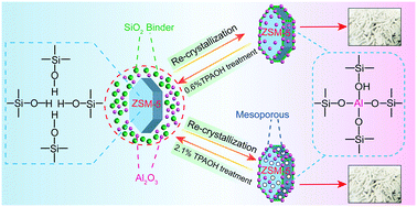 Graphical abstract: Towards the preparation of binderless ZSM-5 zeolite catalysts: the crucial role of silanol nests
