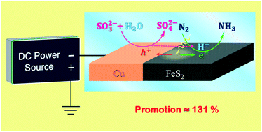 Graphical abstract: Electrostatic promotion of the catalyst activity for ammonia photosynthesis upon a robust affordable nanostructured uni-electrodic photodevice/reactor